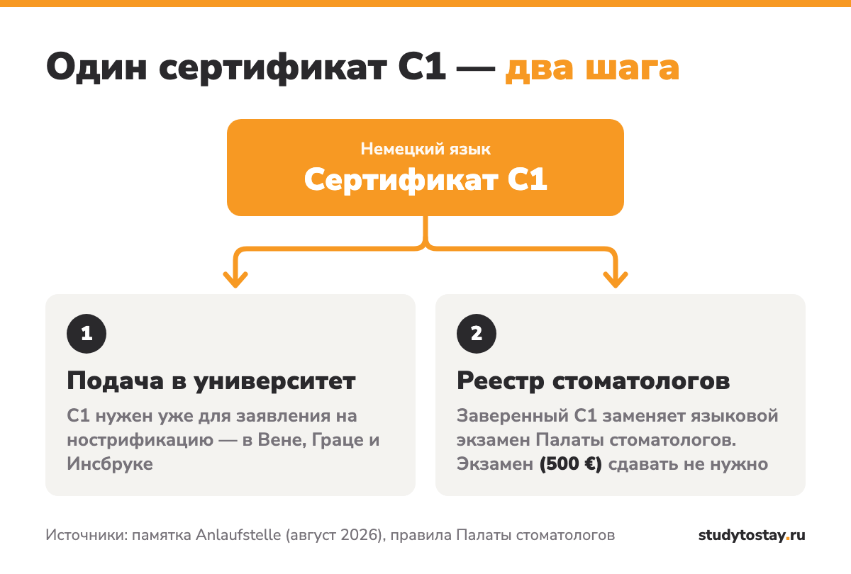 Схема: сертификат немецкого C1 нужен для нострификации и заменяет языковой экзамен Палаты стоматологов