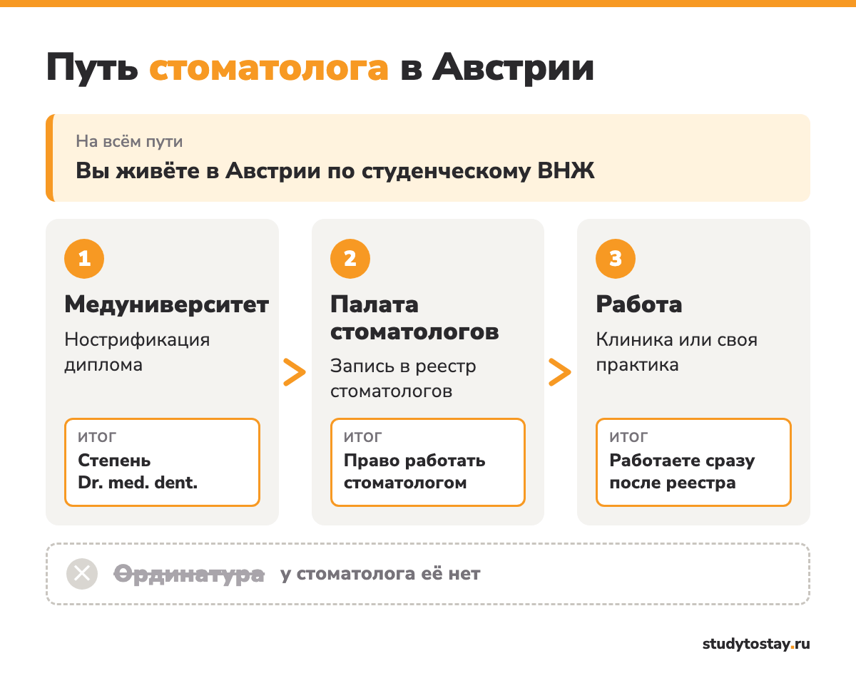Схема: путь стоматолога в Австрии — нострификация, реестр Палаты стоматологов, работа без ординатуры
